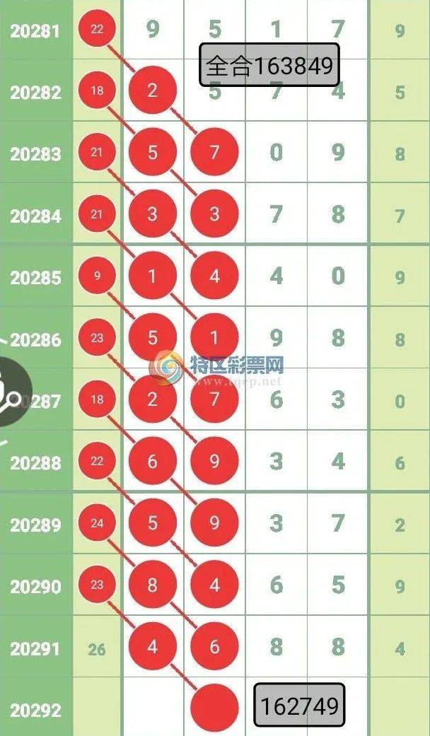2025今晚必中必开四肖,详细解答、解释与落实-警惕虚假宣传-详细解答、解释与落实